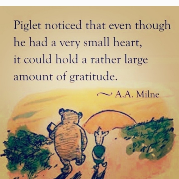 🌵Arizona Jeans Co. Embroidered JEANS 😎 Really COOL ⚠️ SZ  8-10 IMO - Picture 3 of 15